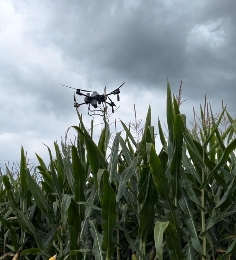 Iraí sedia Tarde de Campo e reúne produtores ligados a Cotrifred