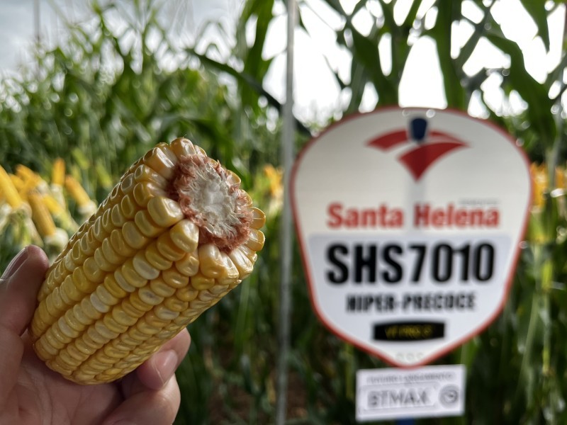 Iraí sedia Tarde de Campo e reúne produtores ligados a Cotrifred