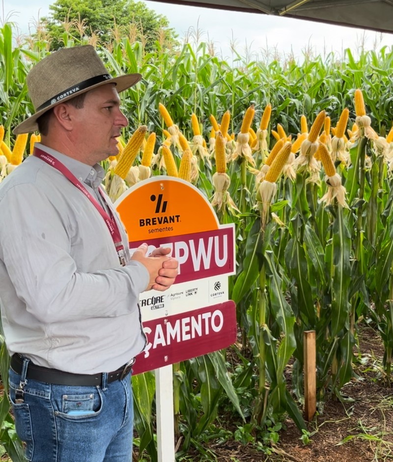 Iraí sedia Tarde de Campo e reúne produtores ligados a Cotrifred