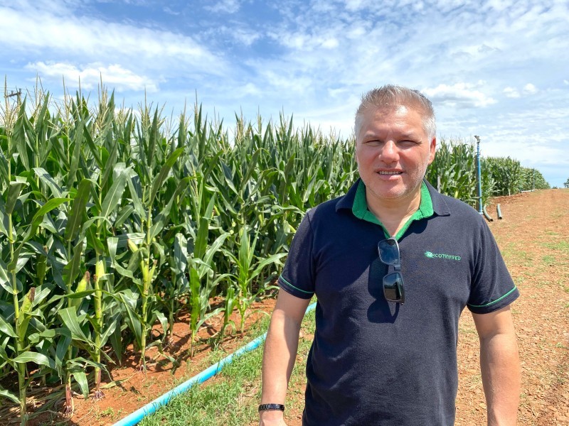 Noite de Campo de Milho da Cotrifred contará com mais de 10 estações