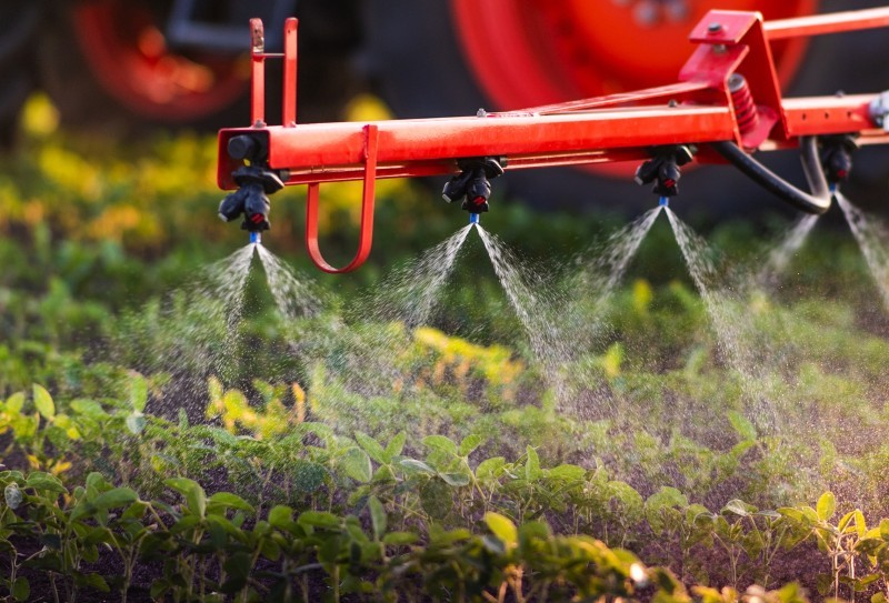 Noite de Campo de Soja da Cotrifred aborda o uso de defensivos hormonais