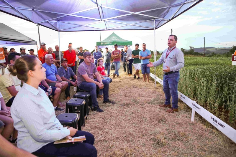 Noite de Campo de Soja da Cotrifred reúne mais de 500 produtores em Frederico Westphalen