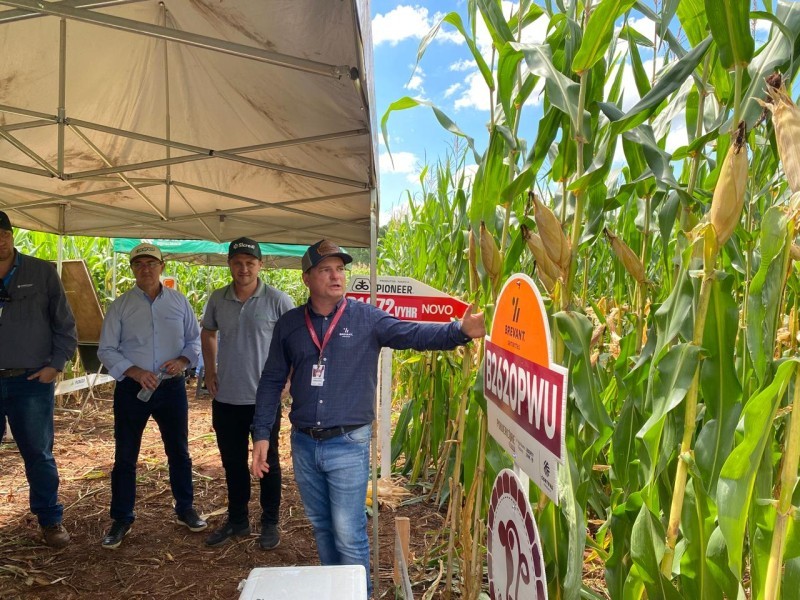 Pinheirinho do Vale sedia primeira tarde de campo da temporada de verão da Cotrifred