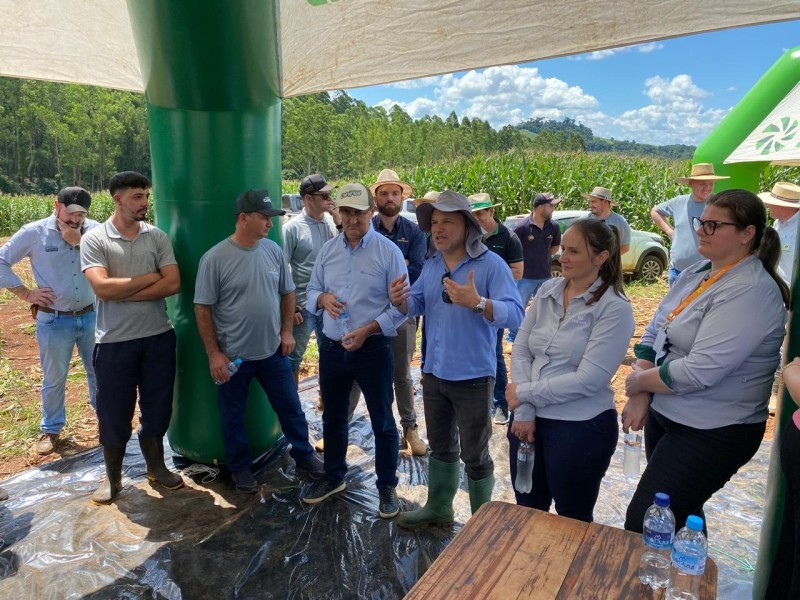 Pinheirinho do Vale sedia primeira tarde de campo da temporada de verão da Cotrifred