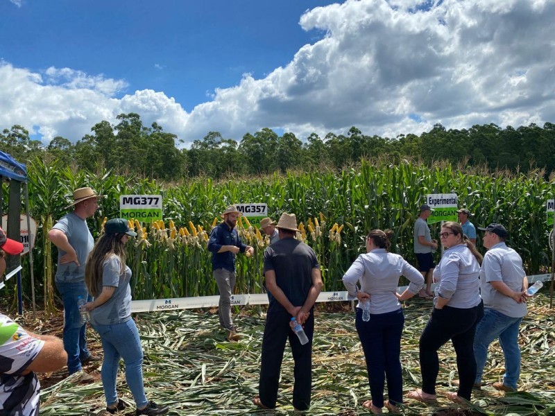 Pinheirinho do Vale sedia primeira tarde de campo da temporada de verão da Cotrifred