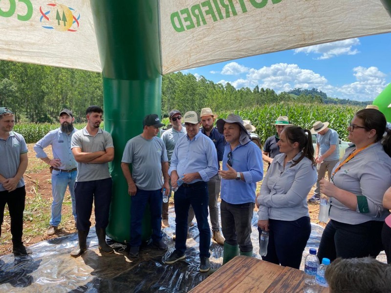 Pinheirinho do Vale sedia primeira tarde de campo da temporada de verão da Cotrifred
