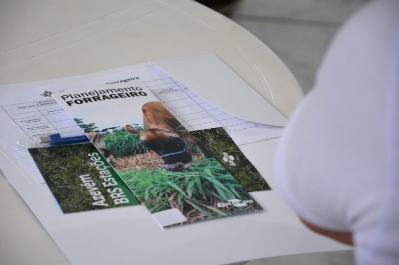 Planejamento forrageiro é tema de oficina realizada pelo programa Leite Seguro
