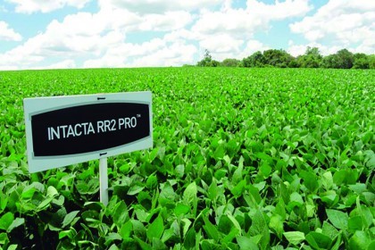 Produtor que adquiriu soja INTACTA deve assinar acordo com a Monsanto