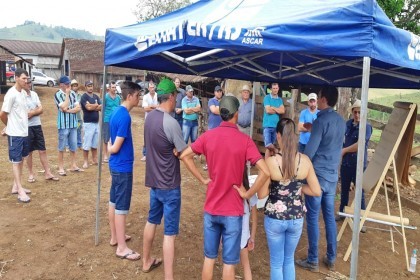 Projeto Meu Tambo Meu Futuro inicia as tarde de campo sobre Bovinocultura de Leite