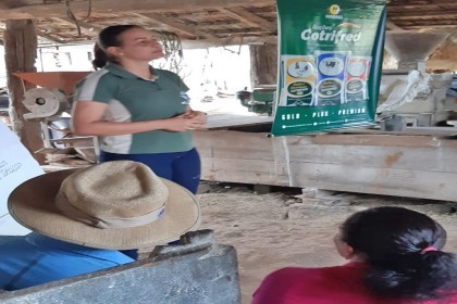 Projeto Meu Tambo Meu Futuro inicia as tarde de campo sobre Bovinocultura de Leite