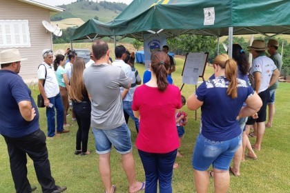 Projeto Meu Tambo Meu Futuro inicia as tarde de campo sobre Bovinocultura de Leite