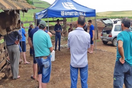 Projeto Meu Tambo Meu Futuro inicia as tarde de campo sobre Bovinocultura de Leite