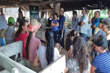Projeto Meu Tambo Meu Futuro inicia as tarde de campo sobre Bovinocultura de Leite