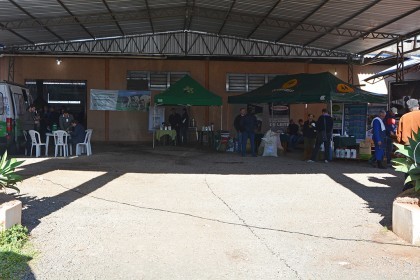 Seminário do Leite debate nutrição e gestão