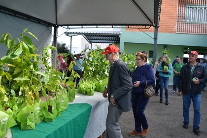 Seminário regional apresenta números do setor