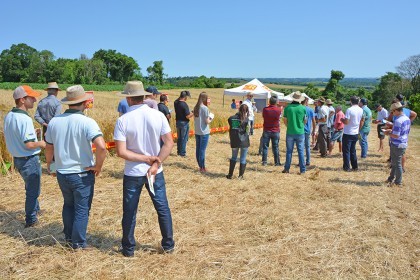 Tarde de Campo sobre Trigo é realizada pela COTRIFRED