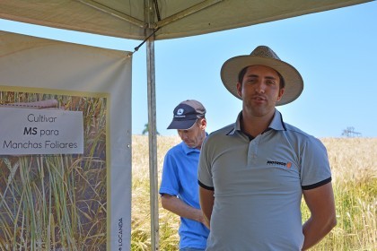 Tarde de Campo sobre Trigo é realizada pela COTRIFRED