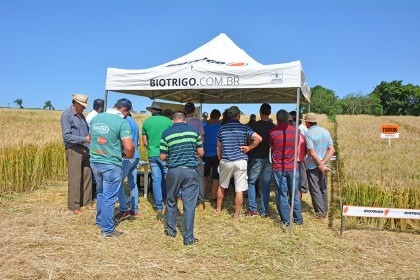 Tarde de Campo sobre Trigo é realizada pela COTRIFRED