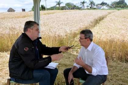 Tarde de Campo sobre Trigo é realizada pela COTRIFRED