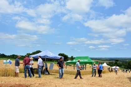 Tarde de Campo sobre Trigo é realizada pela COTRIFRED