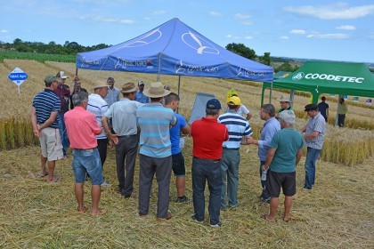 Tarde de Campo sobre Trigo é realizada pela COTRIFRED