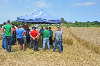 Tarde de Campo sobre Trigo é realizada pela COTRIFRED