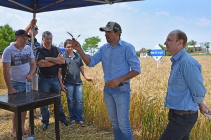Tarde de Campo sobre Trigo é realizada pela COTRIFRED