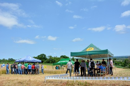 Tarde de Campo sobre Trigo é realizada pela COTRIFRED