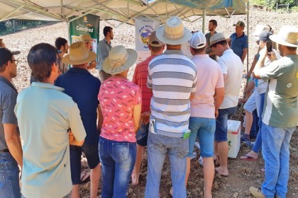 Tardes de Campo do projeto Meu Tambo Meu Futuro seguem sendo realizadas