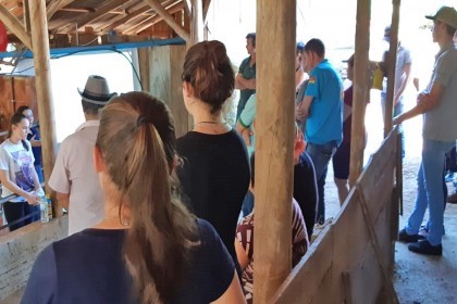 Tardes de Campo do projeto Meu Tambo Meu Futuro seguem sendo realizadas