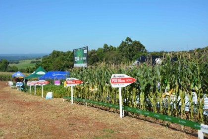 VI Dia de Campo Cotrifred apresentou novas tecnologias ao homem do campo