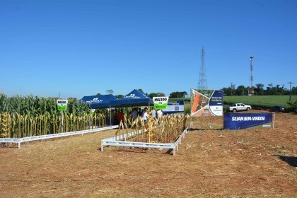 VI Dia de Campo Cotrifred apresentou novas tecnologias ao homem do campo