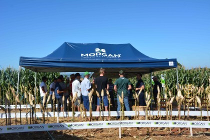 VI Dia de Campo Cotrifred apresentou novas tecnologias ao homem do campo