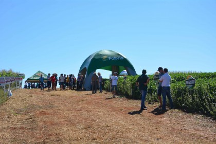VI Dia de Campo Cotrifred apresentou novas tecnologias ao homem do campo