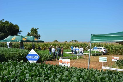 VI Dia de Campo Cotrifred apresentou novas tecnologias ao homem do campo
