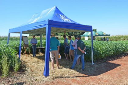 VI Dia de Campo Cotrifred apresentou novas tecnologias ao homem do campo