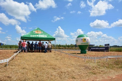 VI Dia de Campo Cotrifred apresentou novas tecnologias ao homem do campo