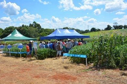 VI Dia de Campo Cotrifred apresentou novas tecnologias ao homem do campo