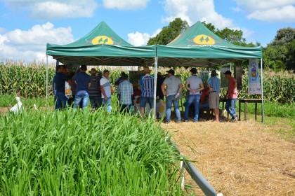 VI Dia de Campo Cotrifred apresentou novas tecnologias ao homem do campo