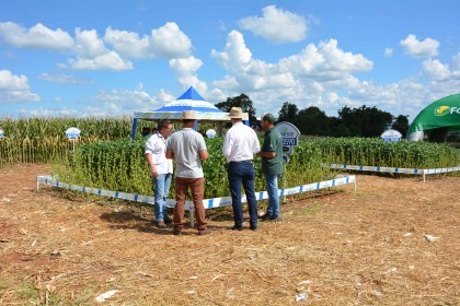 VI Dia de Campo Cotrifred apresentou novas tecnologias ao homem do campo