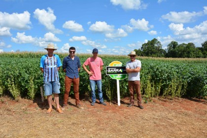VI Dia de Campo Cotrifred apresentou novas tecnologias ao homem do campo