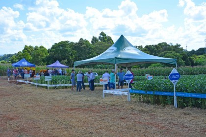 VI Dia de Campo Cotrifred apresentou novas tecnologias ao homem do campo